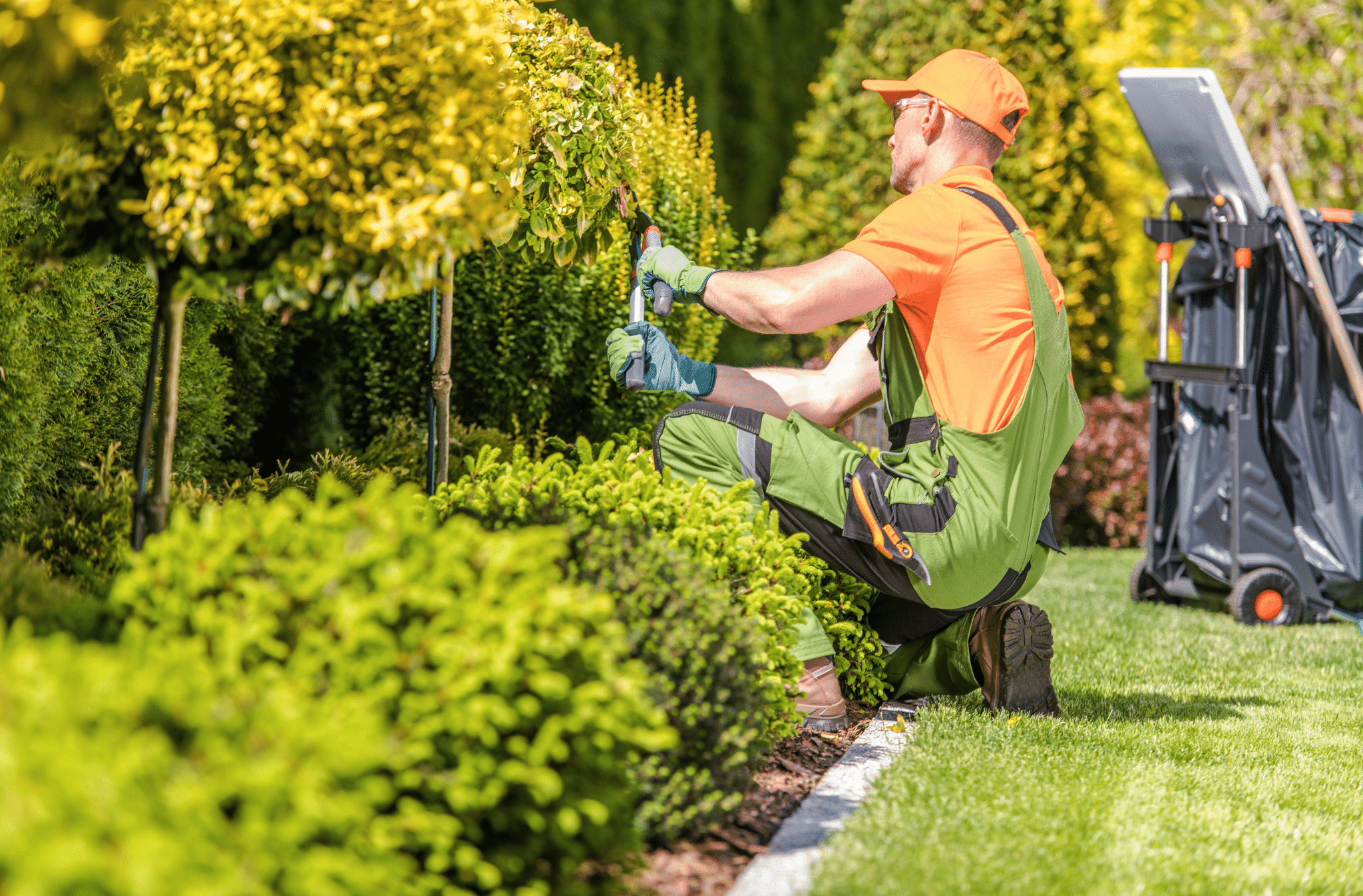 Gulf Breeze Landscaping